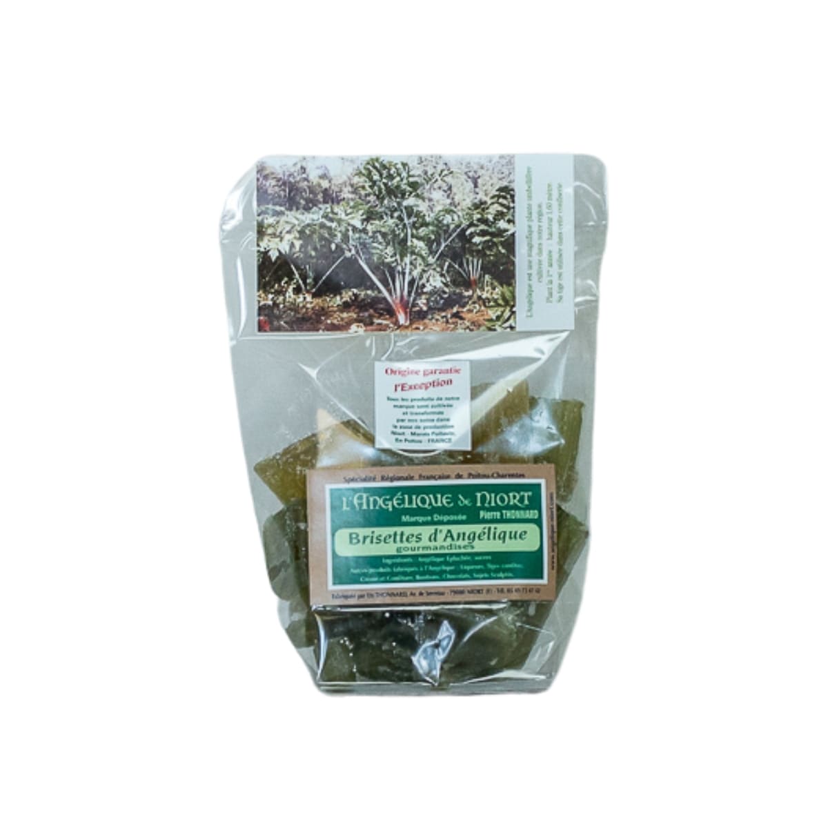 Angélique confite épluchée glacée brisette 100 g