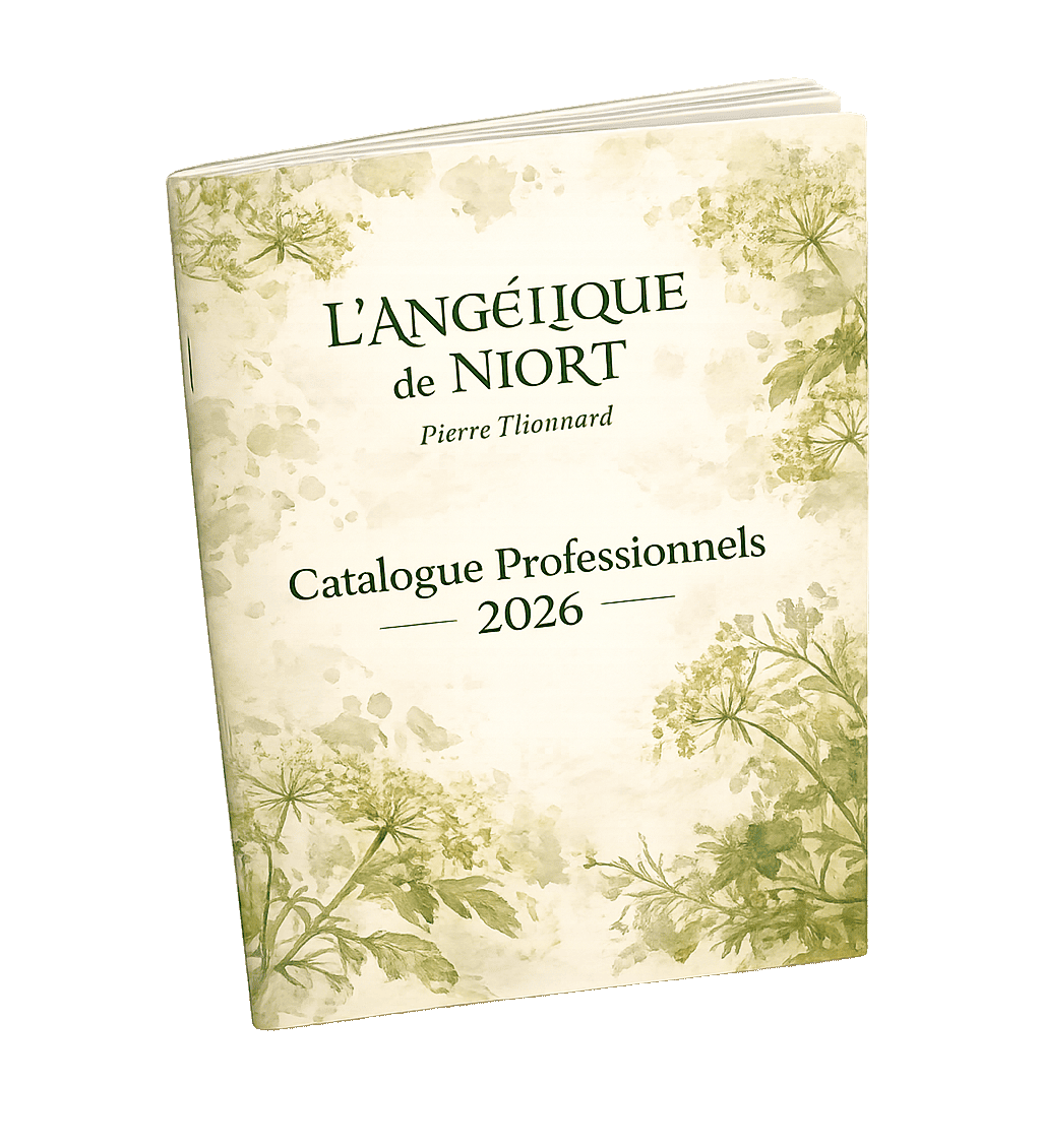 image virtuelle catalogue pro 2026 thonnard redim