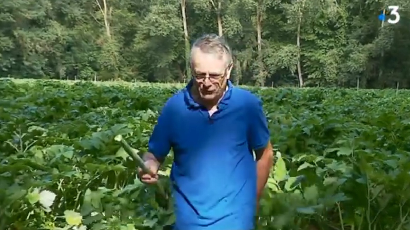 vignette thonnard reportage france 3 na